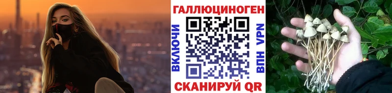 Псилоцибиновые грибы GOLDEN TEACHER  цены наркотик  Белоозёрский 